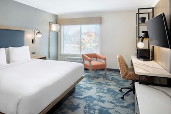 Room, 1 King Bed, Roll-in Shower