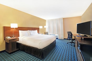 Room, 1 King Bed, Roll-in Shower
