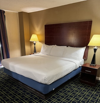 Standard Single Room, City View (Single King City View)