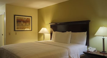Standard Room, 1 King Bed