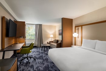 Suite, 1 King Bed with Sofa bed (Hearing Accessible)