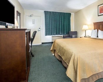 Standard Room, 1 King Bed, Accessible, Non Smoking (Roll-In Shower)