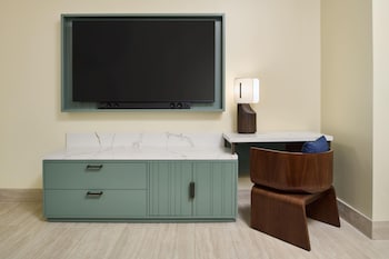 Suite, Accessible (ADA Vista, Roll-In Shower)