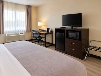 Room, 1 King Bed with Sofa bed, Non Smoking
