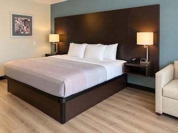 Room, 1 King Bed with Sofa bed, Non Smoking