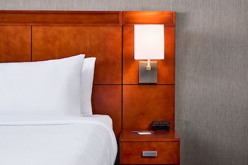 Room, 1 King Bed with Sofa bed