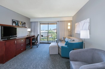 Room, 1 King Bed with Sofa bed