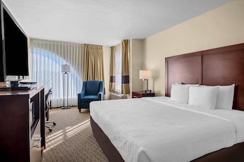 Suite, 1 King Bed with Sofa bed, Non Smoking