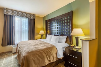 Suite, 1 King Bed with Sofa bed, Non Smoking