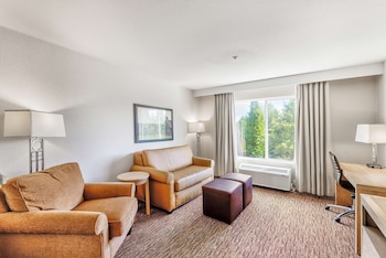Room, 1 King Bed, Accessible