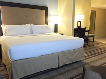 Room, 1 King Bed (Communications Accessible)