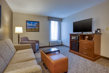 Suite, 1 King Bed with Sofa bed (Sofa Sleeper, 2 Rooms)