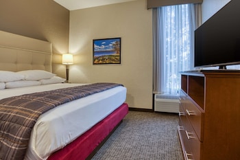Suite, 1 King Bed with Sofa bed (Sofa Sleeper, 2 Rooms)