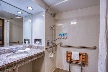 Room, 1 King Bed, Accessible (Roll in Shower)