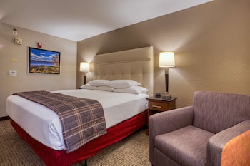 Room, 1 King Bed