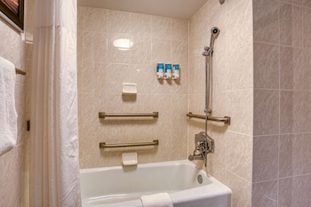 Room, 1 King Bed, Accessible (Tub)