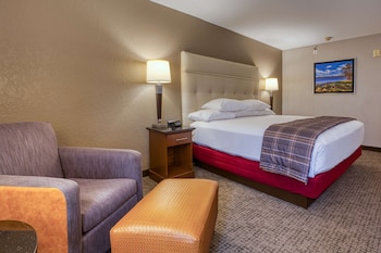 Room, 1 King Bed