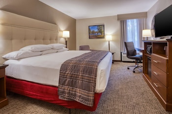 Room, 1 King Bed