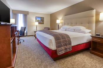 Room, 1 King Bed