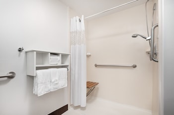 Room, Accessible, Non Smoking (Roll-in Shower)