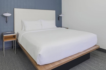 Room, 1 King Bed with Sofa bed
