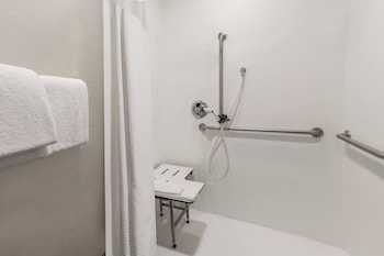 Room, 1 King Bed with Sofa bed (Mobility Accessible, Roll-In Shower)