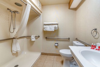 Room, 1 Queen Bed, Accessible, Non Smoking