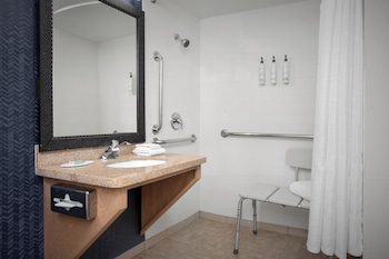 Suite, 1 Bedroom (Mobility/Hearing Access, Roll-in Shwr)