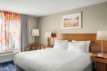 Room, 1 King Bed, Hearing Accessible (Roll-in Shower)