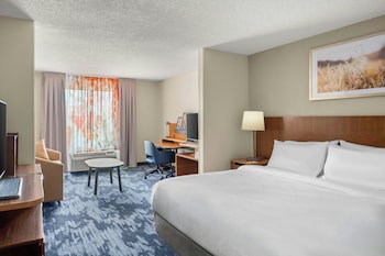 Suite, 1 King Bed with Sofa bed