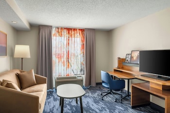 Suite, 1 King Bed with Sofa bed