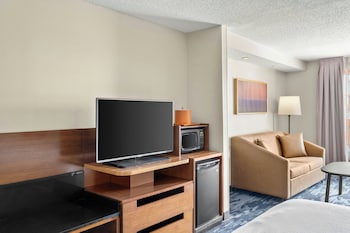 Suite, 1 King Bed with Sofa bed