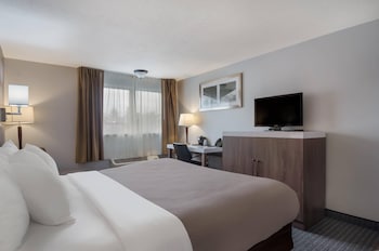 Room, 1 King Bed, Accessible, Non Smoking