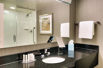 Suite, 1 Bedroom (Mobility/Hearing Access, Roll-In Shwr)