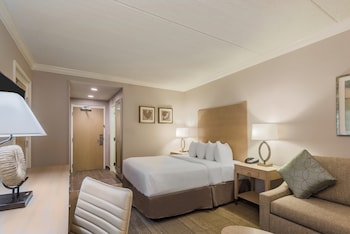 Standard Room, 1 King Bed, Roll-in Shower (Communications, Roll-In Shower)