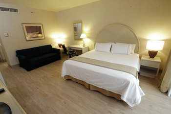 Standard Room, 1 King Bed, Accessible