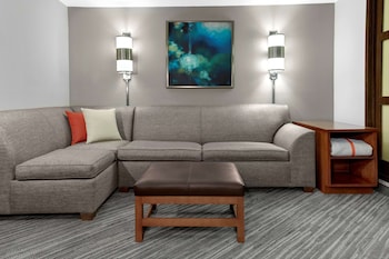 Room, 1 King Bed with Sofa bed