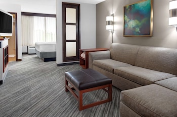Room, 1 King Bed with Sofa bed