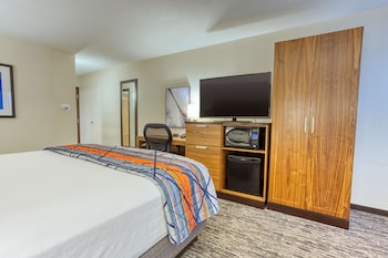 Room, 1 King Bed
