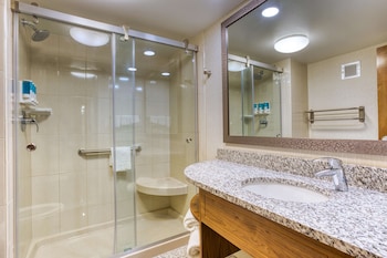 Room, 1 King Bed, Accessible (Roll-in Shower)