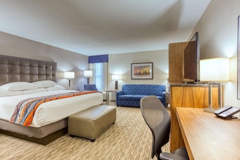 Room, 1 King Bed with Sofa bed (Sofa Sleeper)