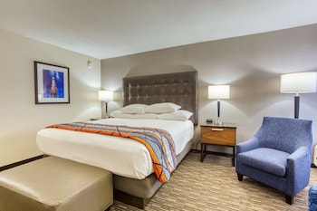 Room, 1 King Bed with Sofa bed (Sofa Sleeper)