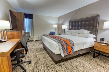Room, 1 King Bed