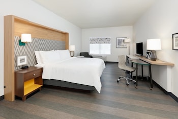 Standard Room, 1 King Bed with Sofa bed