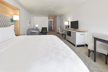 Suite, 1 King Bed with Sofa bed, Accessible