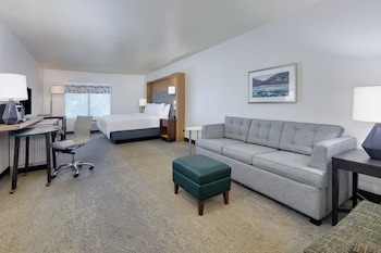 Premium Room, 1 King Bed with Sofa bed