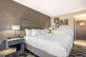 Comfort Room, 1 King Bed, Non Smoking