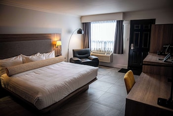 Standard Room, 1 King Bed, Non Smoking