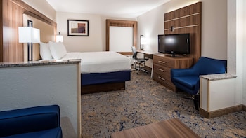 Executive Room, 1 King Bed, Non Smoking, Refrigerator & Microwave (with Sofabed)