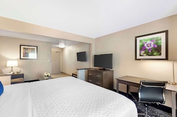 Suite, 1 King Bed with Sofa bed, Non Smoking, Refrigerator & Microwave (with Sofabed)
